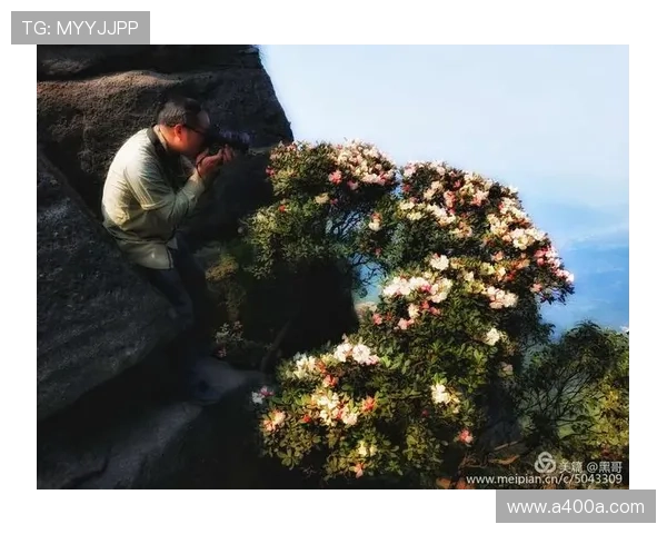 西安羽毛球队逆袭之旅揭秘：钻石联赛背后的奋斗与荣耀